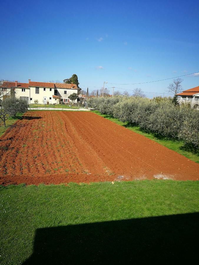 Ljubica Apartment Zbandaj ภายนอก รูปภาพ
